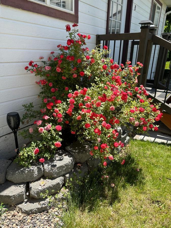Cozy Cottage House B With Double Carport Twin Falls Eksteriør bilde